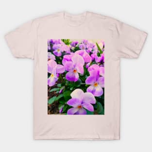 Violets Blossom In The Spring T-Shirt